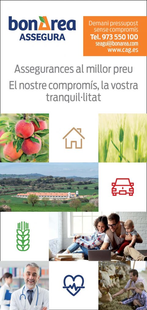 bonÀrea Assegura: Assegurances al millor preu. El nostre compromís, la vostra tranquil·litat