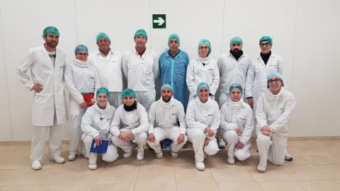 Renovació de la Certificació IFS FOOD a l’Escorxador i Especejament d’Aus