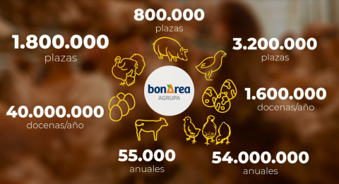 bonÀrea col·labora en la recent revista d’empresa d’Ibertec, proveïdor nostre de polletes d’un dia