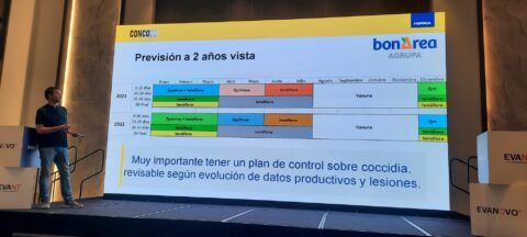 Congreso Internacional sobre coccida