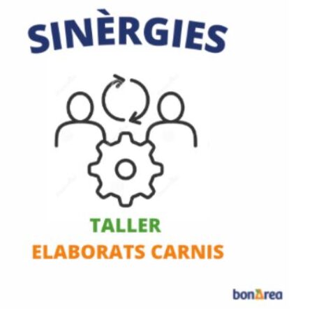 SINÈRGIES A BONÀREA