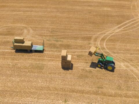 Día Mundial de la Agricultura