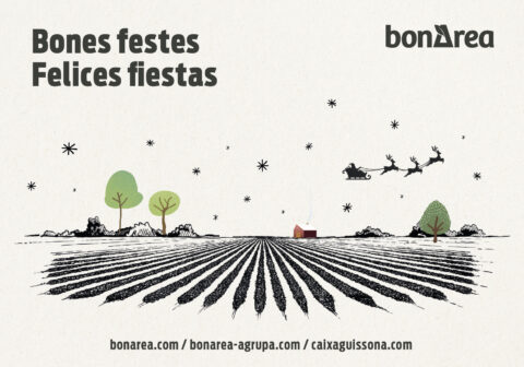 Molt bones festes! 🌲