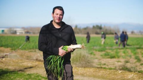 ¡Es temporada de calçots bonÀrea!