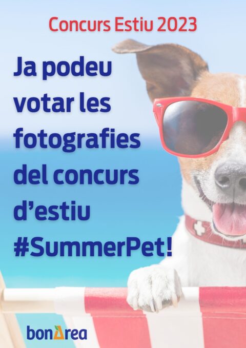 ¡Ya podéis votar la fotografía del concurso de verano #SummerPet!  🐾