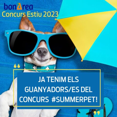 🐶¡Ganadores/as del concurso de verano #SummerPet! 😺