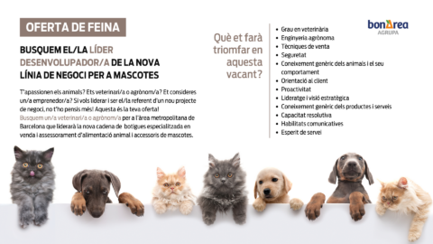 Buscamos el/la líder desarrollador/a de la nueva línea de negocio para mascotas